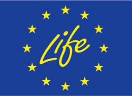 European Life Fund